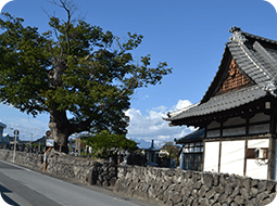 蓮経寺境内イメージ03