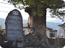 蓮経寺境内イメージ04