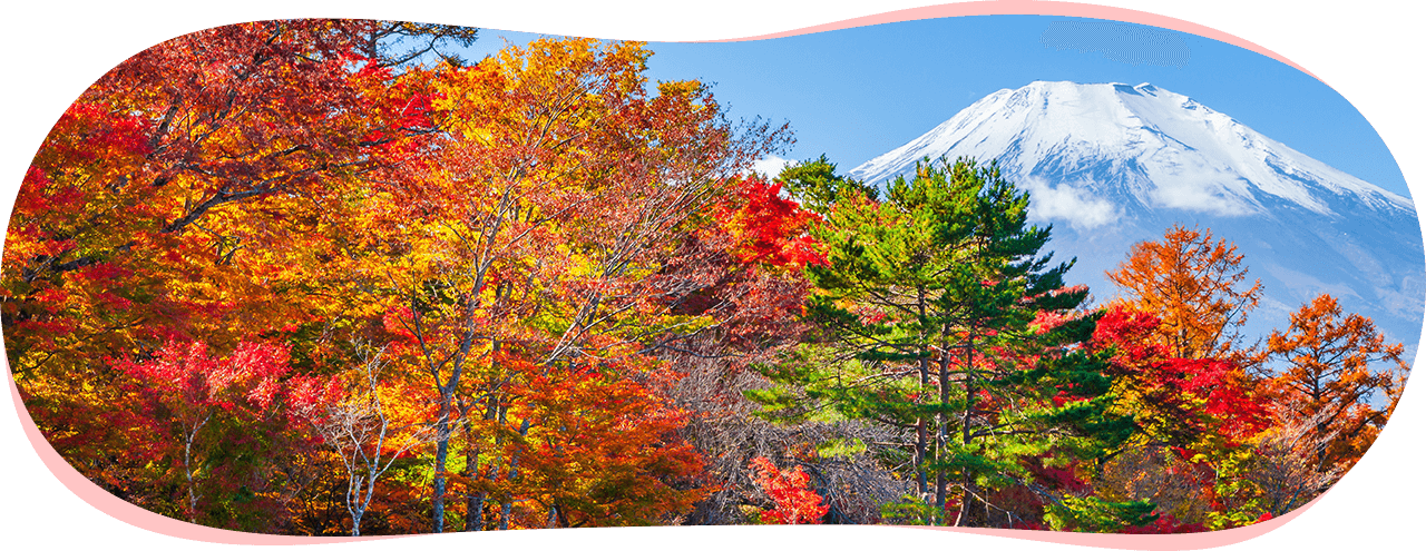 蓮経寺について